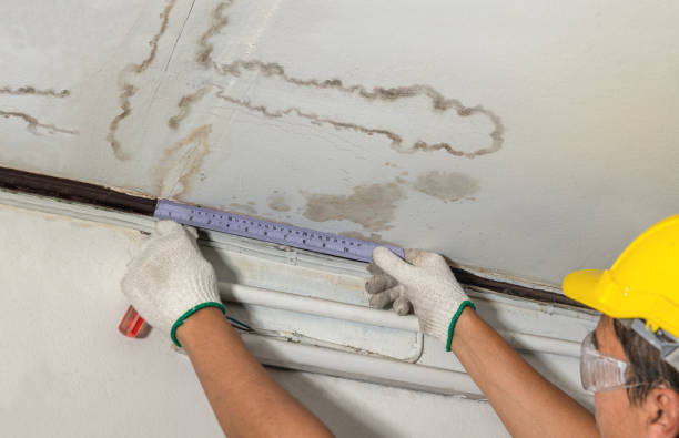 Reliable Sewage Cleanup contractor in Nutley, NJ by Water Damage Irwin